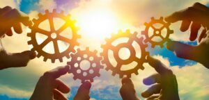 Read more about the article Ofidit and Rephine: Partners in Business
